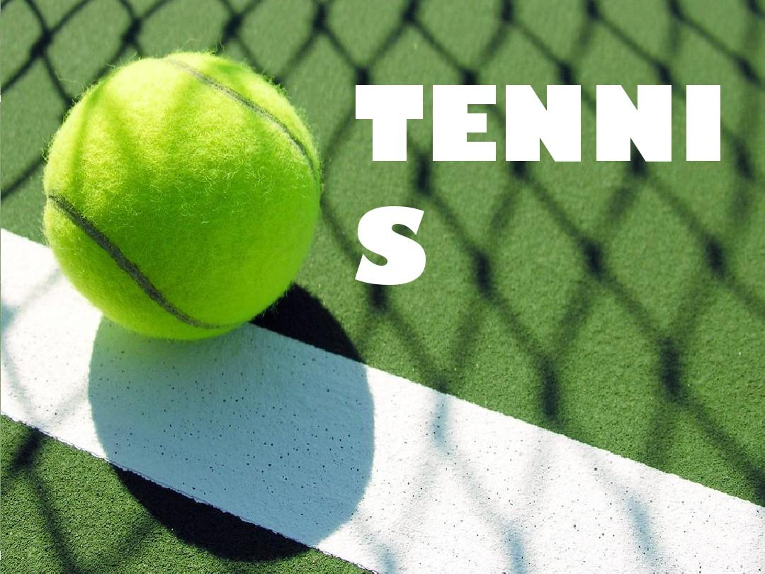 雷恩球迷 雷恩球迷